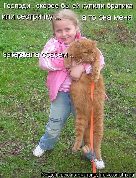 Котоматрица: или сестричку ... а то она меня   затаскала совсем ... Господи , скорее бы ей купили братика