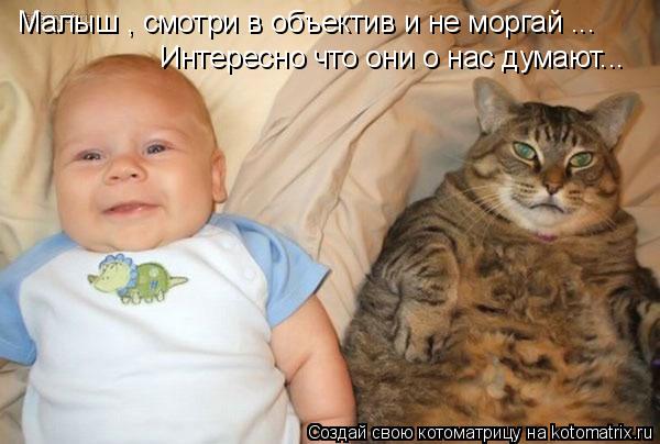 Малыш , смотри в объектив и не моргай ... Интересно что они о нас думают...... Котоматрица: Малыш , смотри в объектив и не моргай ... Интересно что они о нас думают...