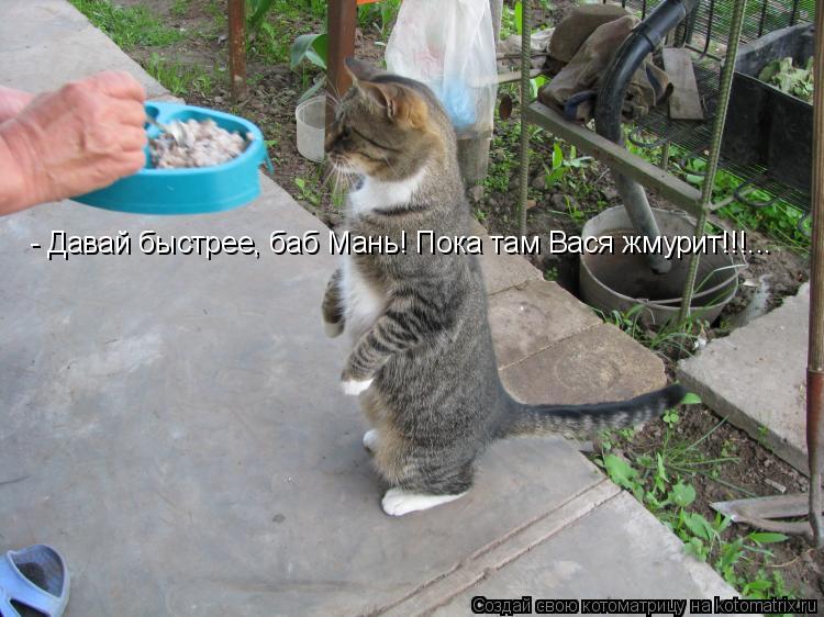 - Давай быстрее, баб Мань! Пока там Вася жмурит!!!...... Котоматрица: - Давай быстрее, баб Мань! Пока там Вася жмурит!!!...