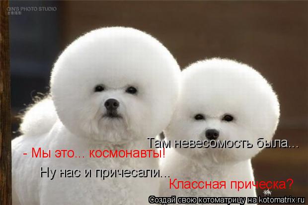 - Мы это... космонавты! Там невесомость была... Ну нас и причесали... Классная прическа?... Котоматрица: - Мы это... космонавты! Там невесомость была... Ну нас и причесали... Классная прическа?
