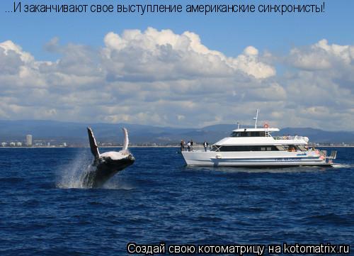 ...И заканчивают свое выступление американские синхронисты!... Котоматрица: ...И заканчивают свое выступление американские синхронисты!