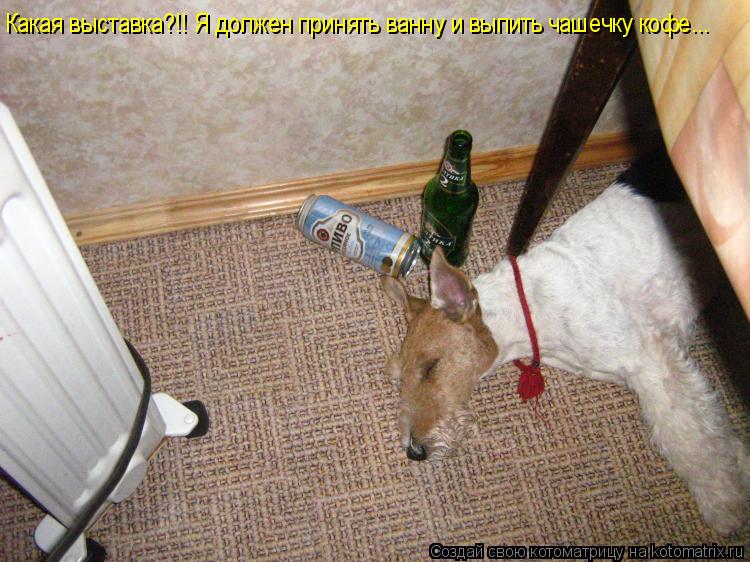Какая выставка?!! Я должен принять ванну и выпить чашечку кофе...... Котоматрица: Какая выставка?!! Я должен принять ванну и выпить чашечку кофе...