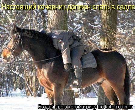 Настоящий кочевник должен спать в седле!... Котоматрица: Настоящий кочевник должен спать в седле!