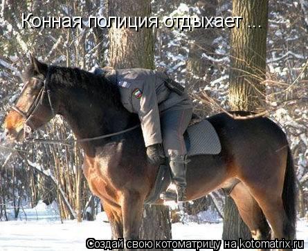 Конная полиция отдыхает ...... Котоматрица: Конная полиция отдыхает ...