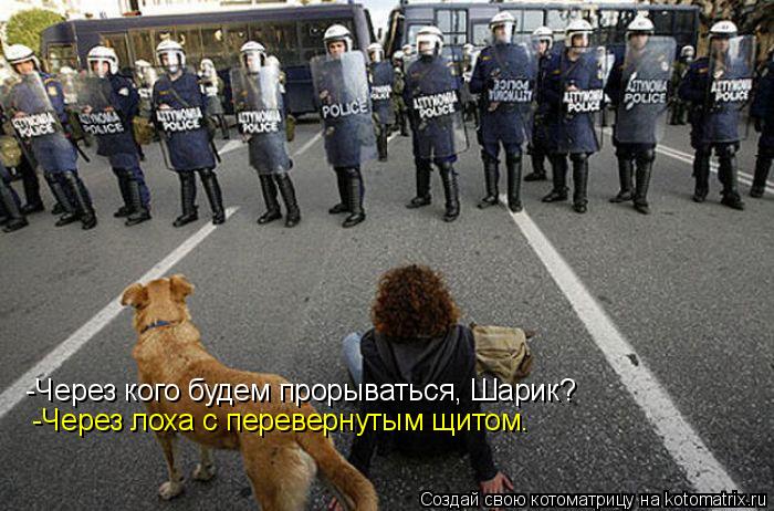 Котоматрица: -Через кого будем прорываться, Шарик? -Через лоха с перевернутым щитом.