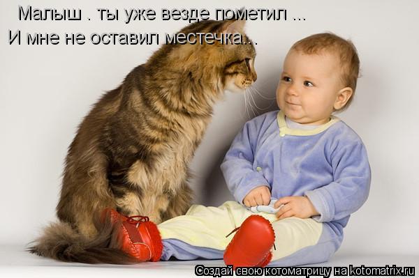 Котоматрица: Малыш . ты уже везде пометил ...  И мне не оставил местечка...