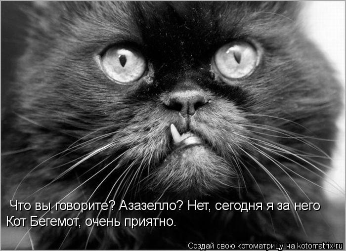 Котоматрица: Что вы говорите? Азазелло? Нет, сегодня я за него Кот Бегемот, очень приятно.