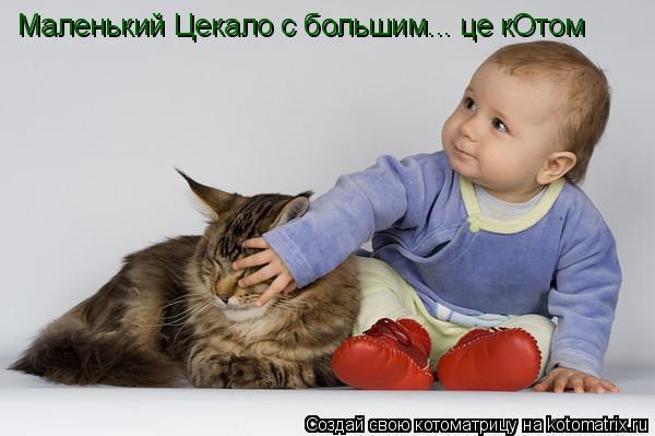 Маленький Цекало с большим... це кОтом... Котоматрица: Маленький Цекало с большим... це кОтом