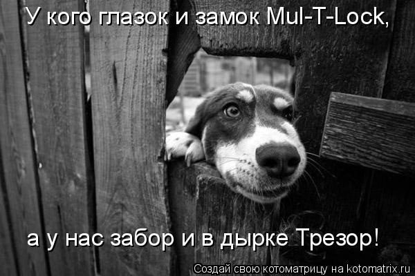 У кого глазок и замок Mul-T-Lock, а у нас забор и в дырке Трезор!... Котоматрица: У кого глазок и замок Mul-T-Lock, а у нас забор и в дырке Трезор!