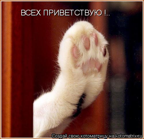 Котоматрица: ВСЕХ ПРИВЕТСТВУЮ !..