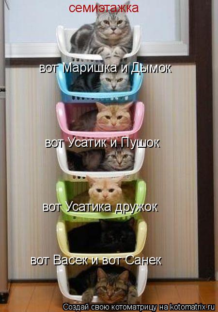 семиэтажка вот Усатик и Пушок вот Усатика дружок вот Маришка и Дымок вот Васек и вот Санек... Котоматрица: семиэтажка вот Усатик и Пушок вот Усатика дружок вот Маришка и Дымок вот Васек и вот Санек