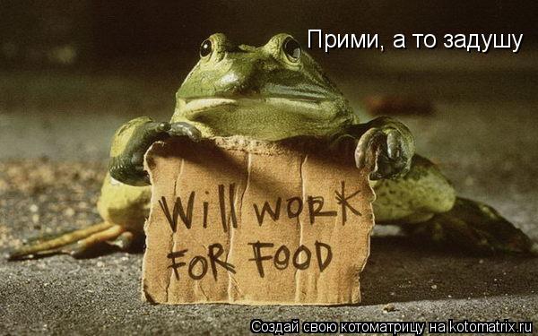 Прими, а то задушу... Котоматрица: Прими, а то задушу