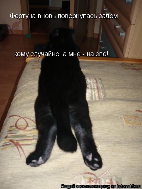 Фортуна вновь повернулась задом кому случайно, а мне - на зло!... Котоматрица: Фортуна вновь повернулась задом кому случайно, а мне - на зло!