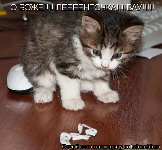 О БОЖЕ!!!!!ЛЕЕЕЕНТОЧКА!!!!ВАУ!!!!!... Котоматрица: О БОЖЕ!!!!!ЛЕЕЕЕНТОЧКА!!!!ВАУ!!!!!
