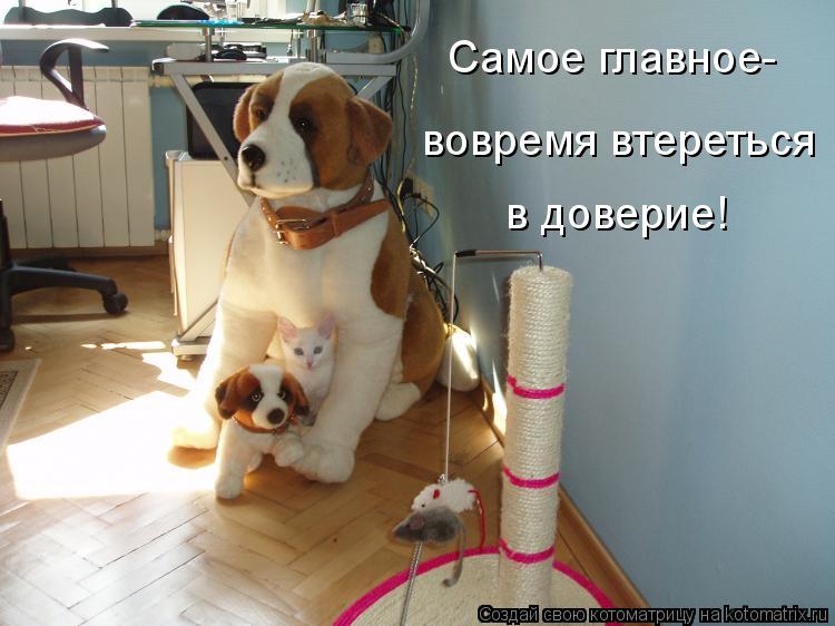 Котоматрица: Самое главное- вовремя втереться в доверие!