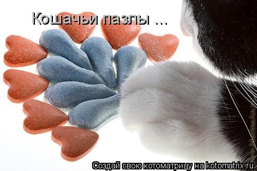 Котоматрица: Кошачьи пазлы ...