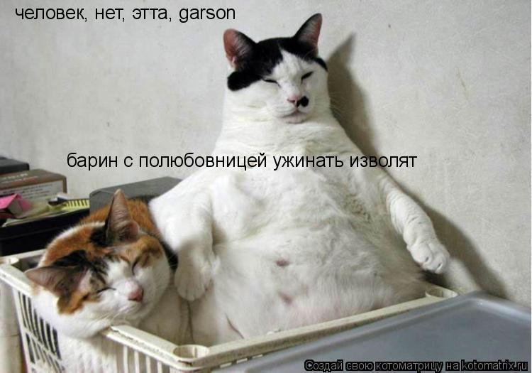 Котоматрица: человек, нет, этта, garson барин с полюбовницей ужинать изволят