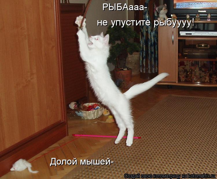 Котоматрица: Долой мышей- РЫБАааа- не упустите рыбуууу!