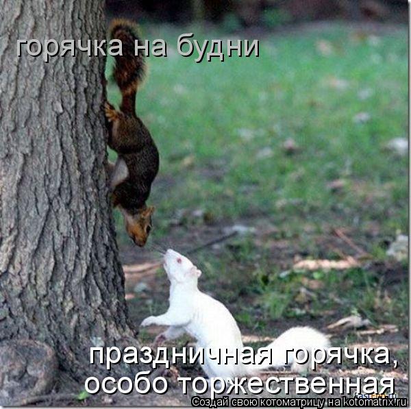горячка на будни особо торжественная праздничная горячка,... Котоматрица: горячка на будни особо торжественная праздничная горячка,