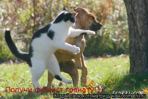 Котоматрица: Получи фашист гранату!))