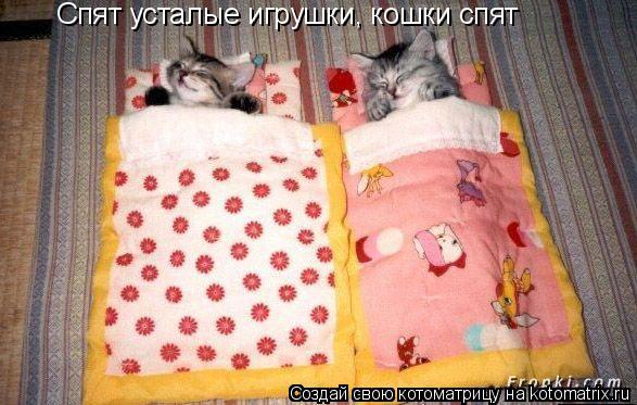 Котоматрица: Спят усталые игрушки, кошки спят