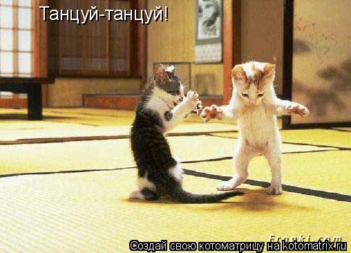 Котоматрица: Танцуй-танцуй!