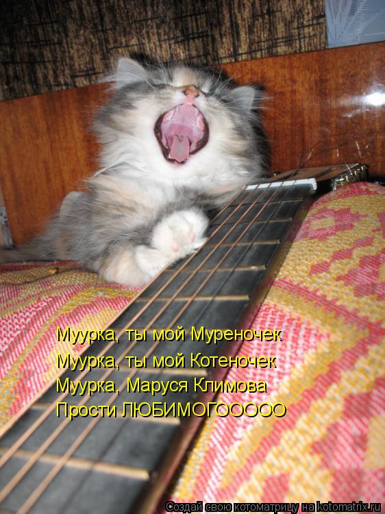Котоматрица: Муурка, ты мой Муреночек Муурка, ты мой Котеночек Муурка, Маруся Климова Прости ЛЮБИМОГООООО