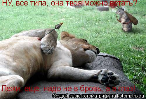 Котоматрица: НУ, все типа, она твоя!можно встать? Лежи, еще, надо не в бровь, а в глаз!
