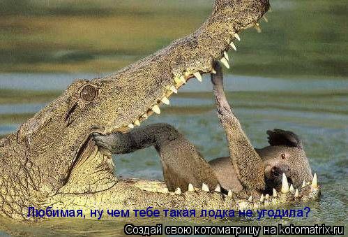Котоматрица: Любимая, ну чем тебе такая лодка не угодила?