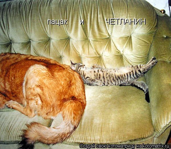 Котоматрица: пацак      и          ЧЕТЛАНИН