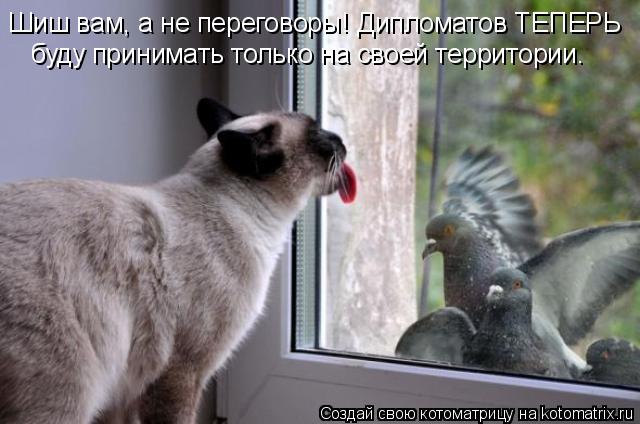 Котоматрица: Шиш вам, а не переговоры! Дипломатов ТЕПЕРЬ буду принимать только на своей территории.