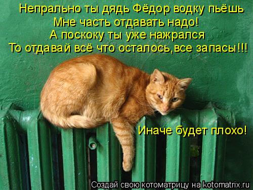 Котоматрица: Непрально ты дядь Фёдор водку пьёшь Мне часть отдавать надо! А поскоку ты уже нажрался То отдавай всё что осталось,все запасы!!! Иначе будет 