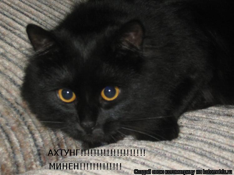 Котоматрица: АХТУНГ!!!!!!!!!!!!!!!!!!!! МИНЕН!!!!!!!!!!!!!