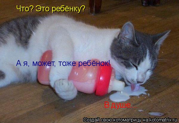 Котоматрица: Что? Это ребёнку? А я, может, тоже ребёнок! В душе...