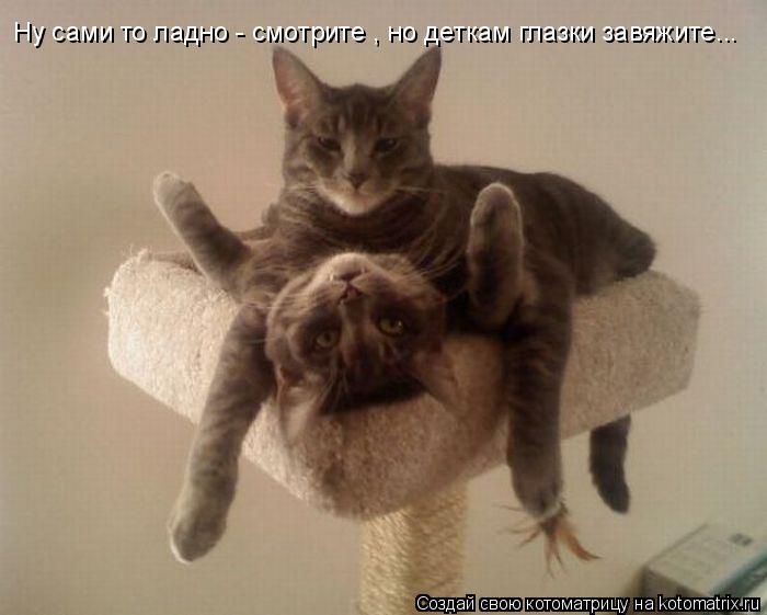 Котоматрица: Ну сами то ладно - смотрите , но деткам глазки завяжите...