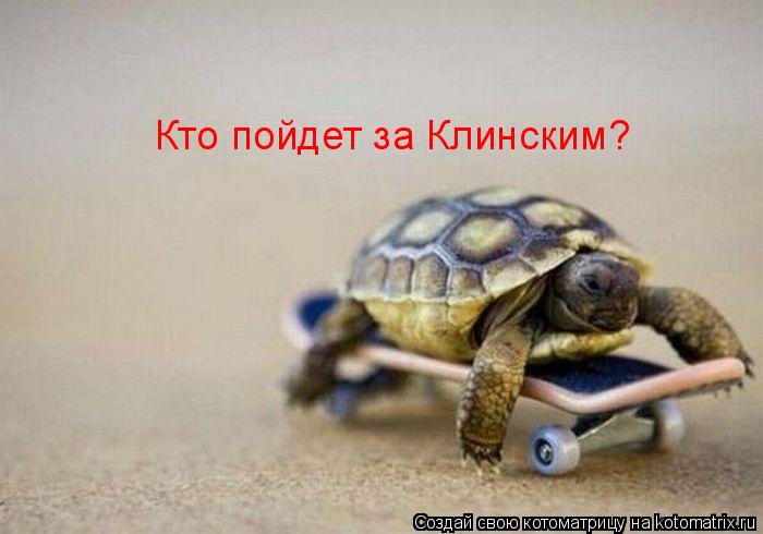Котоматрица: Кто пойдет за Клинским?