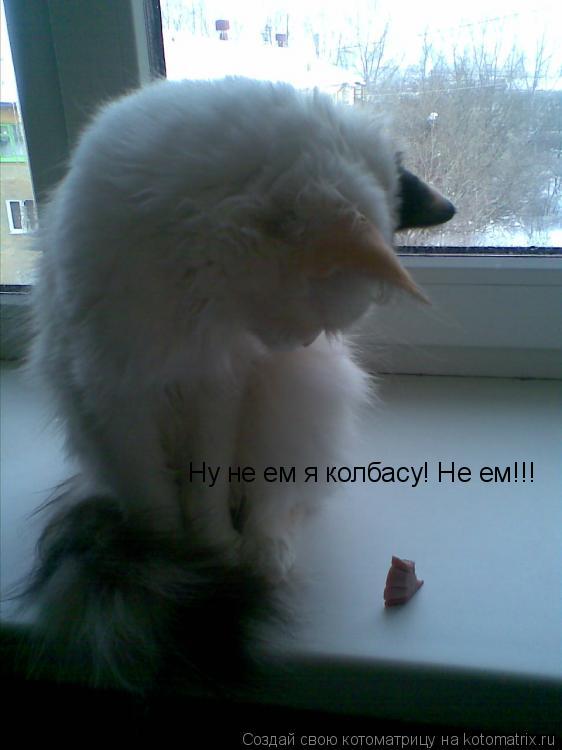 Котоматрица: Ну не ем я колбасу! Не ем!!!