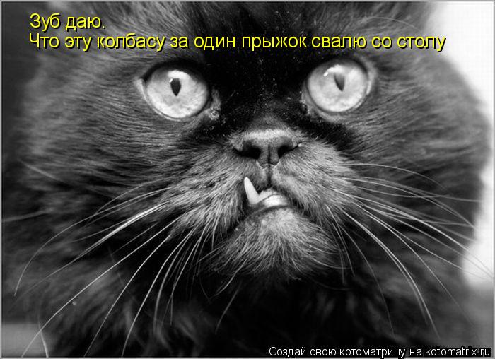 Котоматрица: Зуб даю. Что эту колбасу за один прыжок свалю со столу