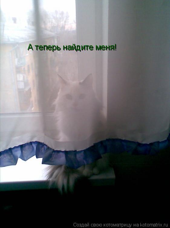 Котоматрица: А теперь найдите меня!