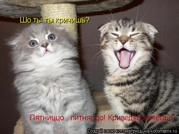 Опубликованное фото