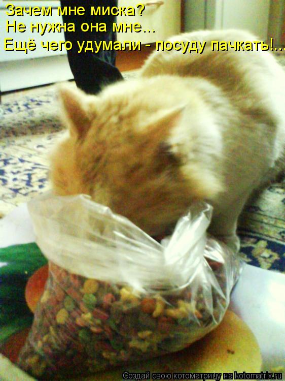 Котоматрица: Зачем мне миска? Не нужна она мне... Ещё чего удумали - посуду пачкать!...