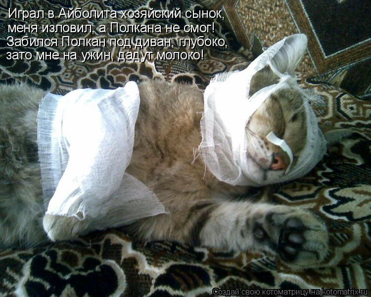 Играл в Айболита хозяйский сынок, меня изловил, а Полкана не смог! Забился Полкан под диван, глубоко,... Котоматрица: Играл в Айболита хозяйский сынок, меня изловил, а Полкана не смог! Забился Полкан под диван, глубоко, зато мне на ужин, дадут молоко!