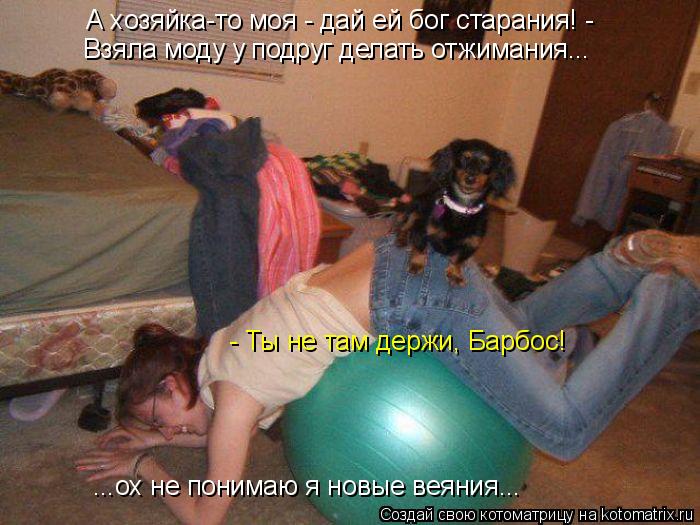 Котоматрица: А хозяйка-то моя - дай ей бог старания! -  Взяла моду у подруг делать отжимания... - Ты не там держи, Барбос! ...ох не понимаю я новые веяния...