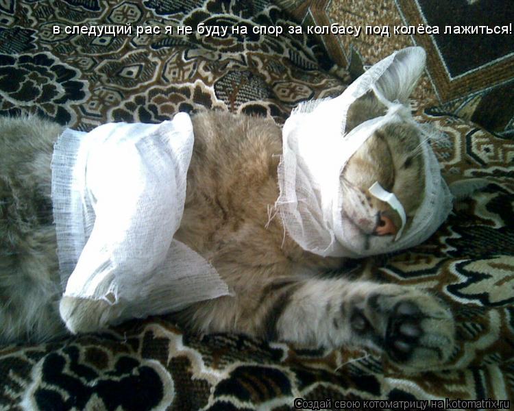 Котоматрица: в следущий рас я не буду на спор за колбасу под колёса лажиться! в следущий рас я не буду на спор за колбасу под колёса лажиться!