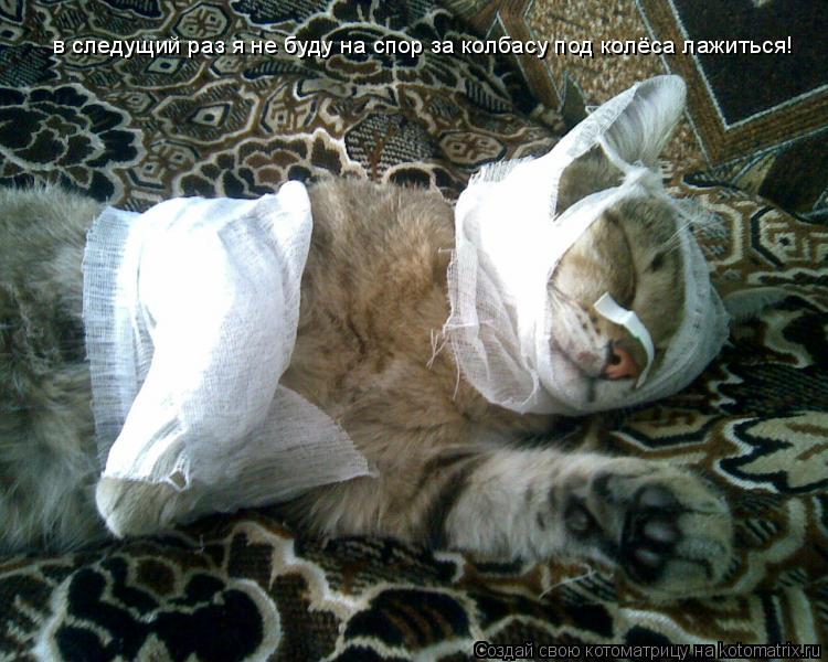 Котоматрица: в следущий раз я не буду на спор за колбасу под колёса лажиться!