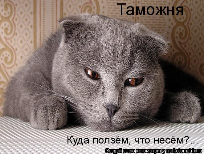 Куда ползём, что несём?... Таможня... Котоматрица: Куда ползём, что несём?... Таможня