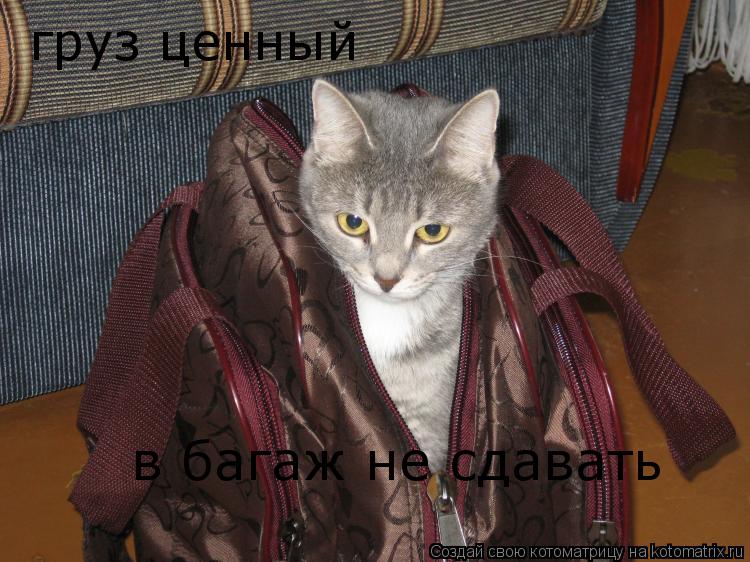Котоматрица: в багаж не сдавать груз ценный
