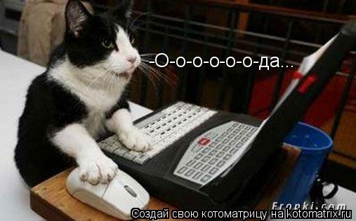 Котоматрица: -О-о-о-о-о-о-да...