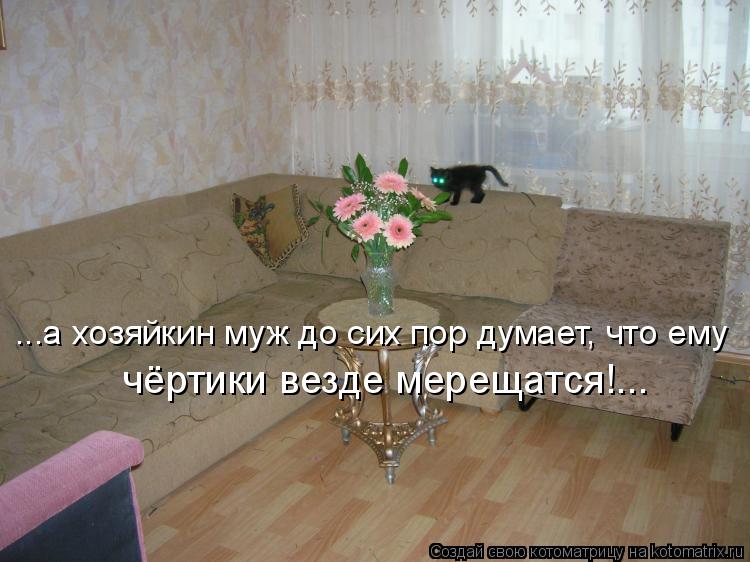 Котоматрица: ...а хозяйкин муж до сих пор думает, что ему чёртики везде мерещатся!...