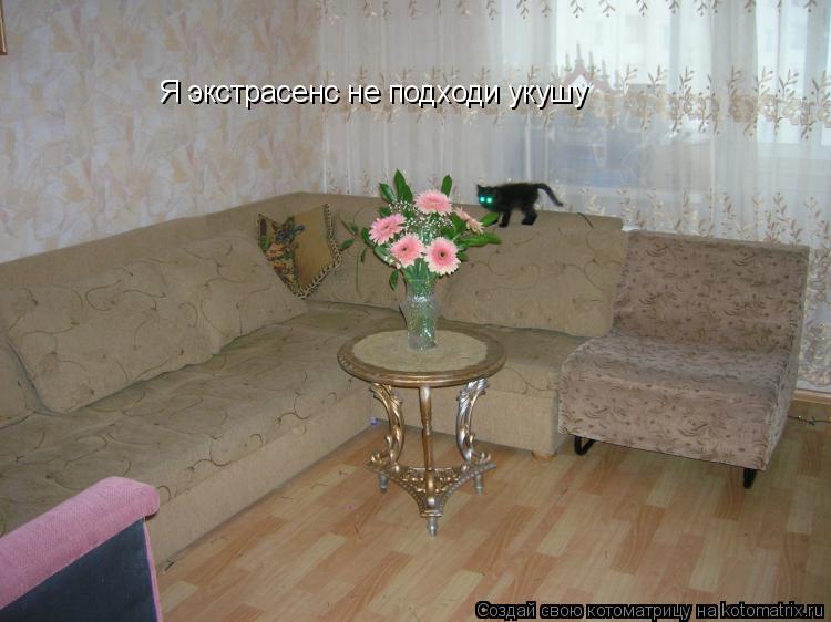 Котоматрица: Я экстрасенс не подходи укушу